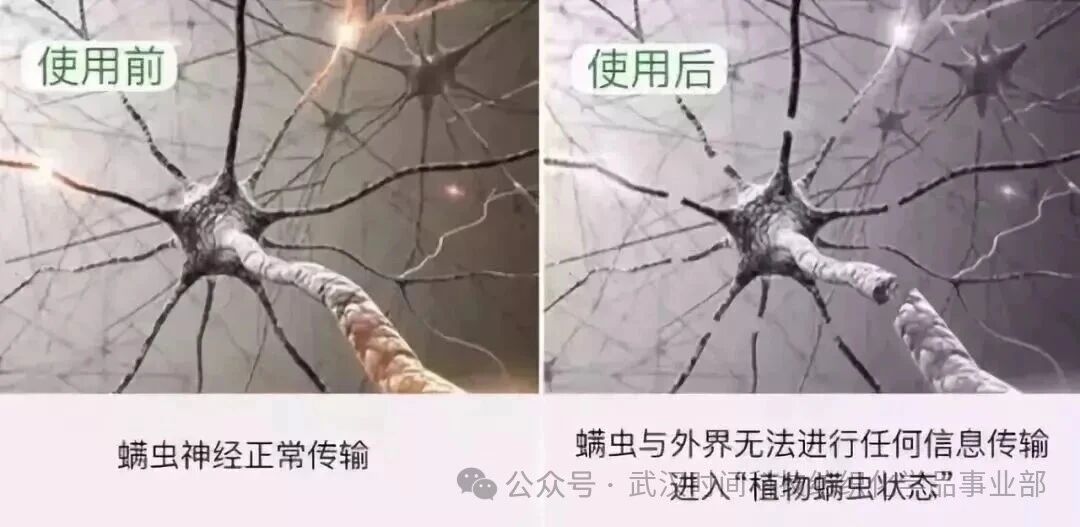 防螨！已成為健康的&ldquo;新剛需&rdquo;--武漢時間科技推出紡織品防螨整理劑喜化&reg;植螨零