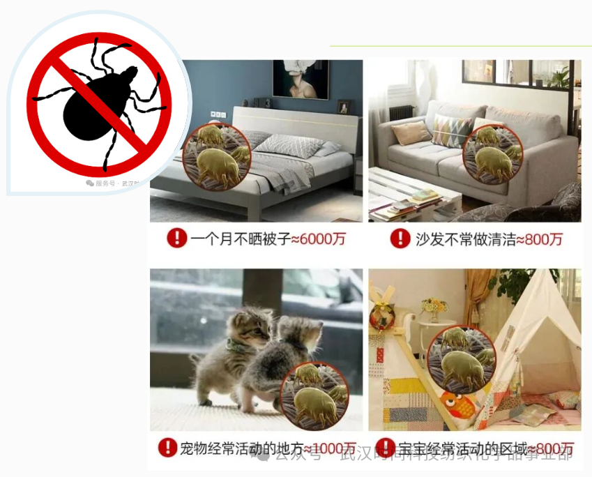 防螨！已成為健康的&ldquo;新剛需&rdquo;--武漢時間科技推出紡織品防螨整理劑喜化&reg;植螨零